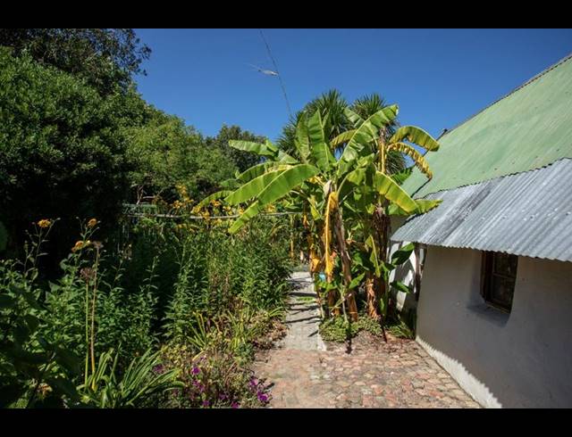 FARM FOR SALE IN PIESANG VALLEY